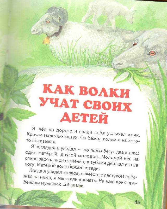 Как волки учат своих детей читать онлайн