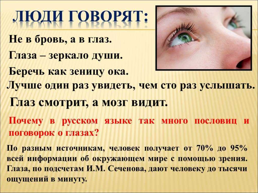 Мудрые высказывания о зрении, стр. 2.