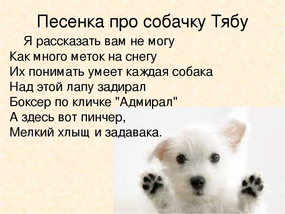 Умная собачка соня 🐶 – читать сборник онлайн 🦊