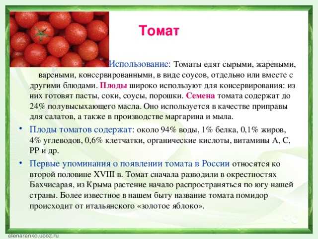 Доклад на тему помидоры 2 класс сообщение