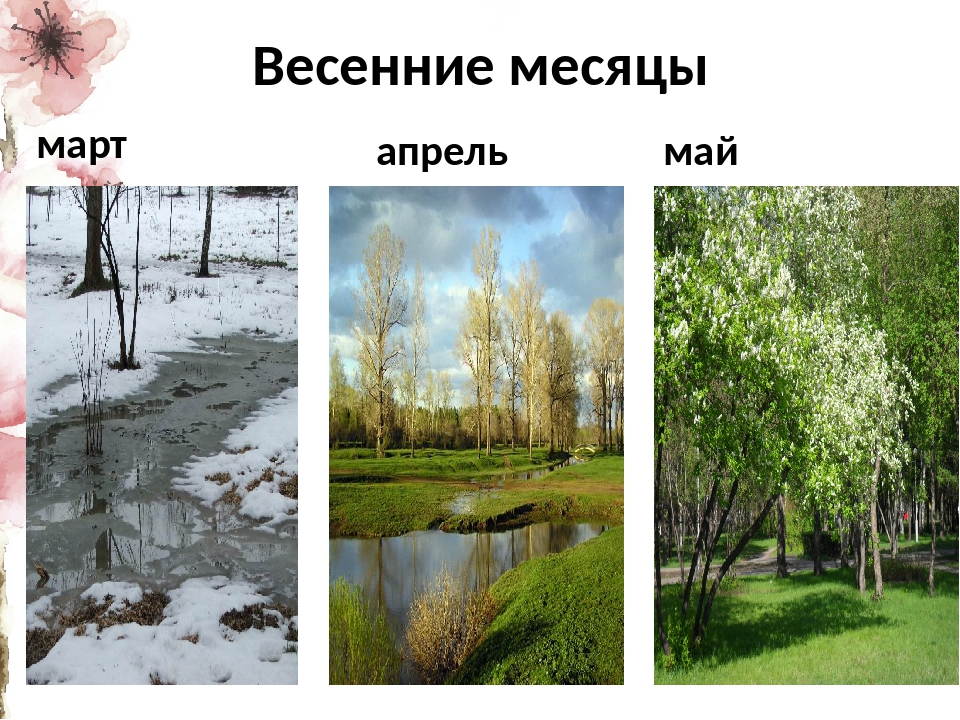 Месяца года (как выучить месяца с ребенком 3-6 лет)