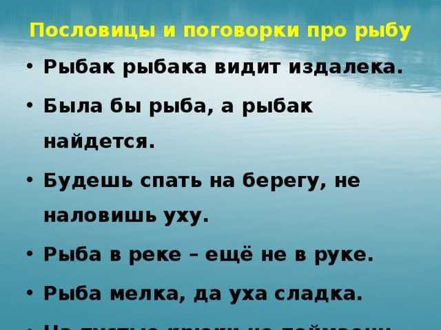 Пословицы и поговорки о рыбе