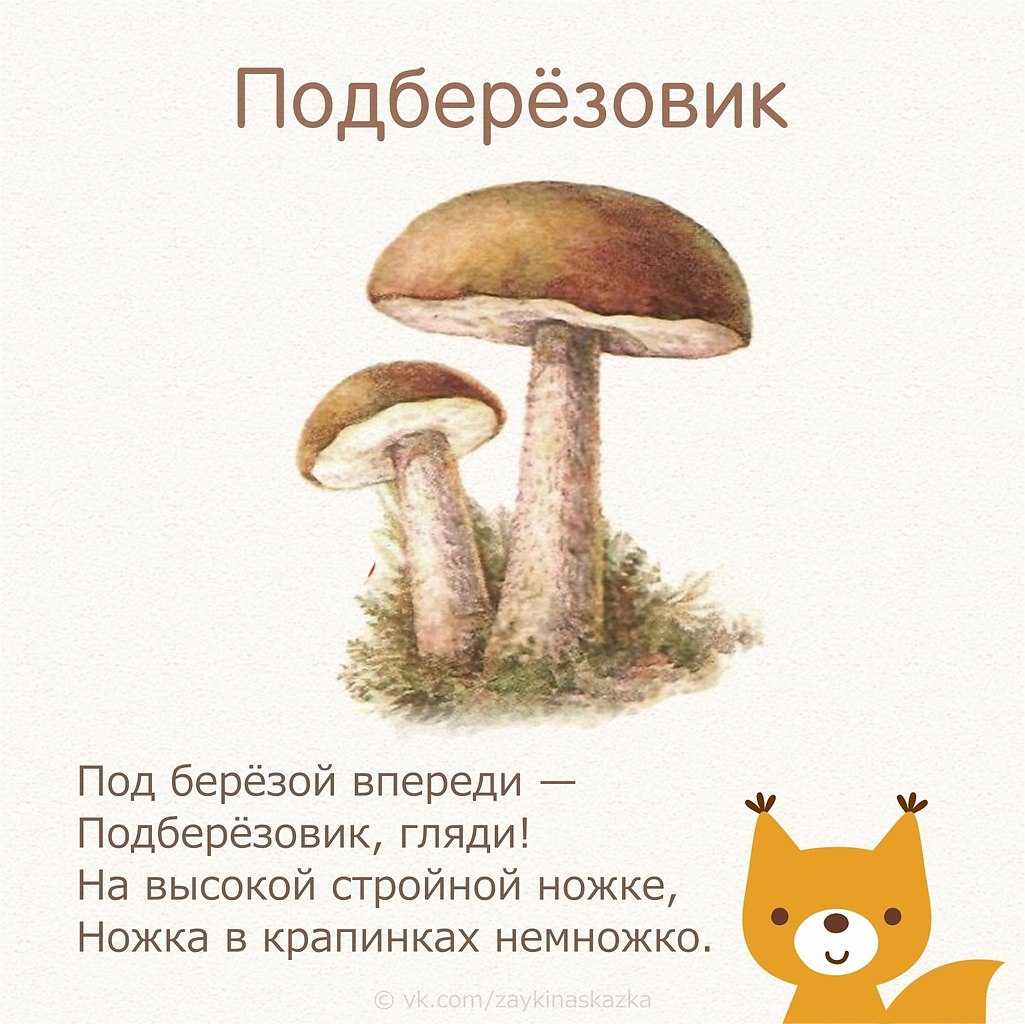 Конспект занятия в старшей группе игра-путешествие «грибная электричка» (с элементами триз)