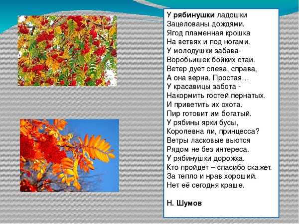 Детские истории читать