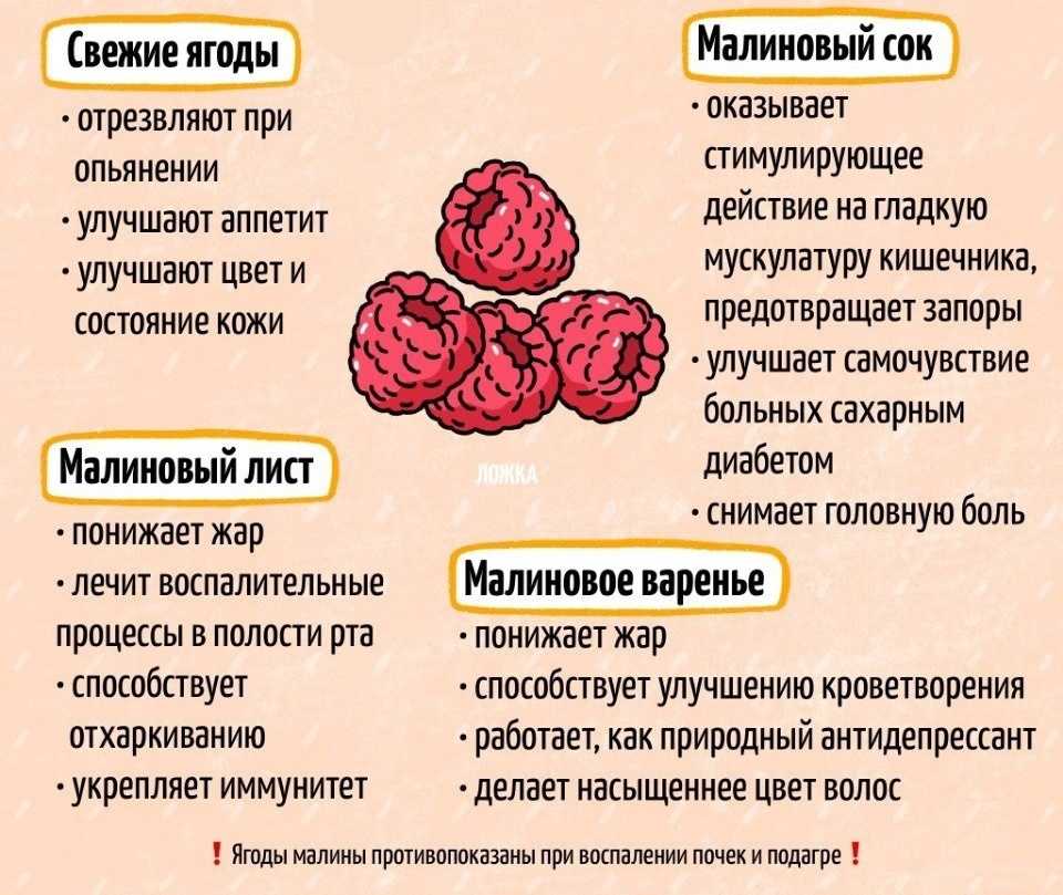 Пословицы и поговорки для школьников