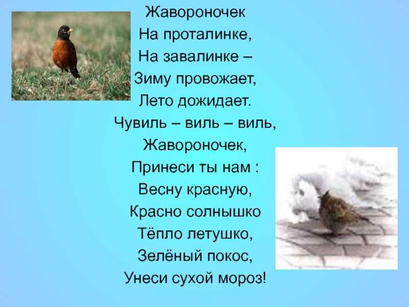 Слушать рассказ Скребицкого Жаворонок - одно удовольствие Все, что связано с молодой весной, с прилетающими птицами, с весенними песнями, в чем-то обыденно,