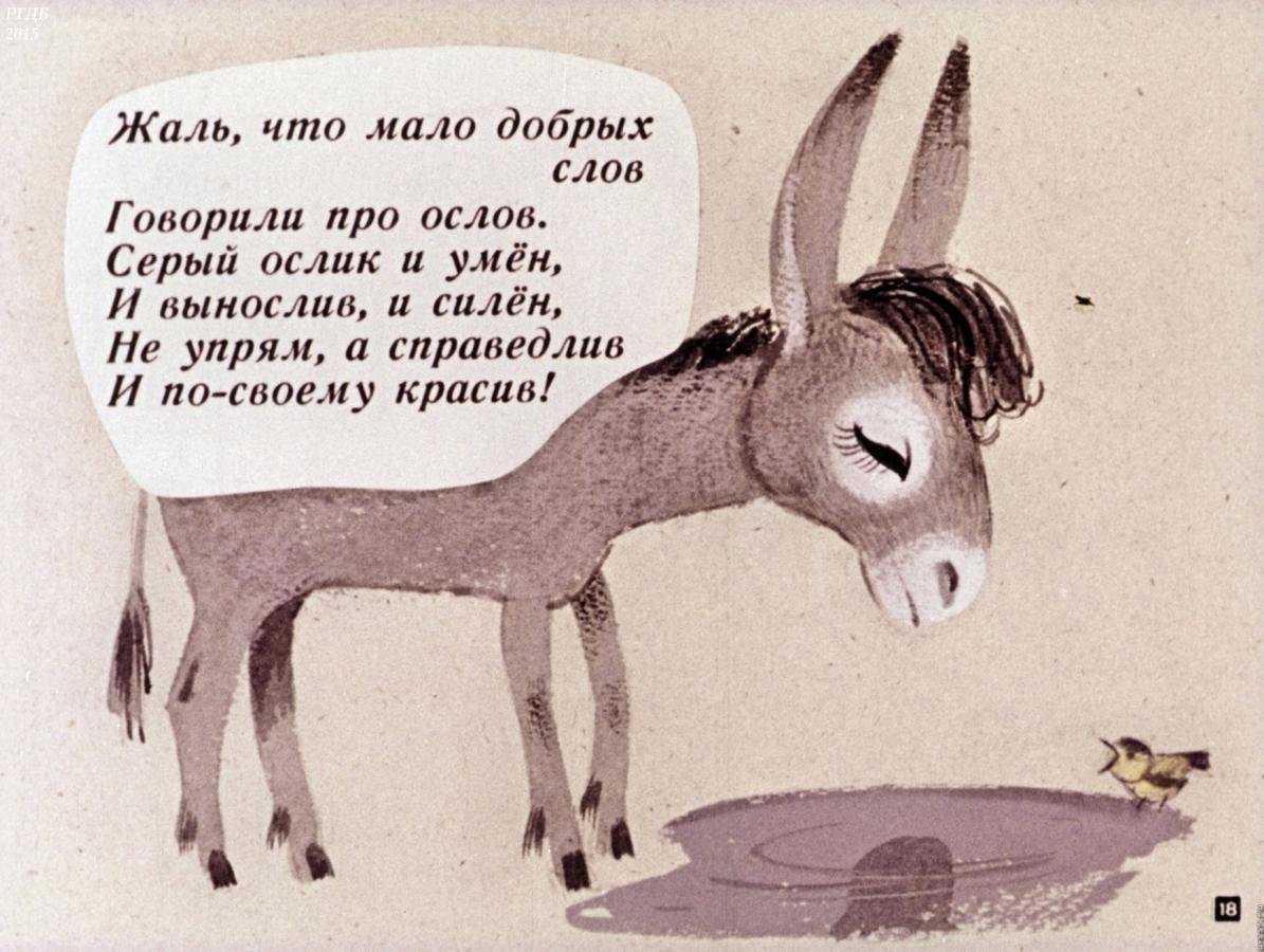 Осел — особенности разведения и содержания, преимущества и недостатки. | cельхозпортал
