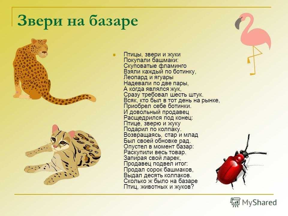Картотека стихотворений про животных ко дню зоопарка на мaam