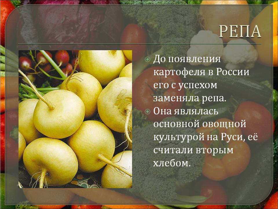 Конспект организованной образовательной деятельности по ознакомлению с окружающим миром «чему нас учит сказка» «репка». воспитателям детских садов, школьным учителям и педагогам - маам.ру
