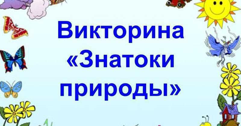 Статья 6 лесного кодекса рф с комментарием 2023: последние изменения и поправки, судебная практика
