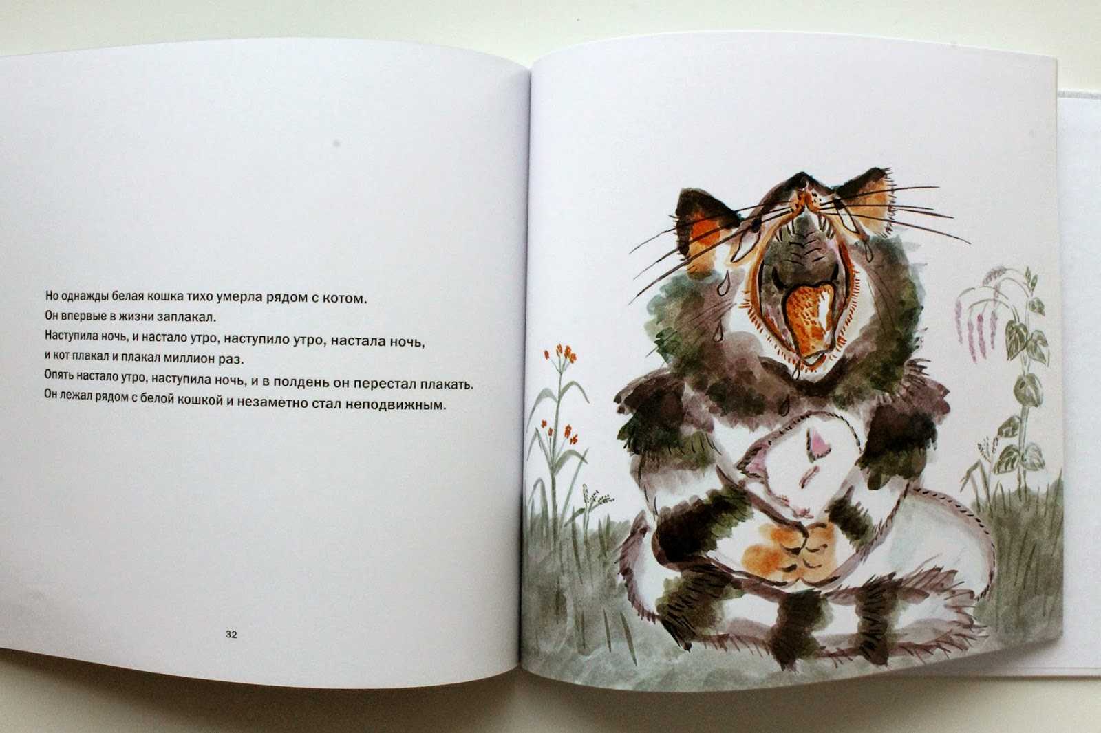 Книга про кота читать. Кот который жил миллион раз Йоко Сано. Сказка про кота, который жил миллион раз книга. Кот с книгой. Сказки про котов.