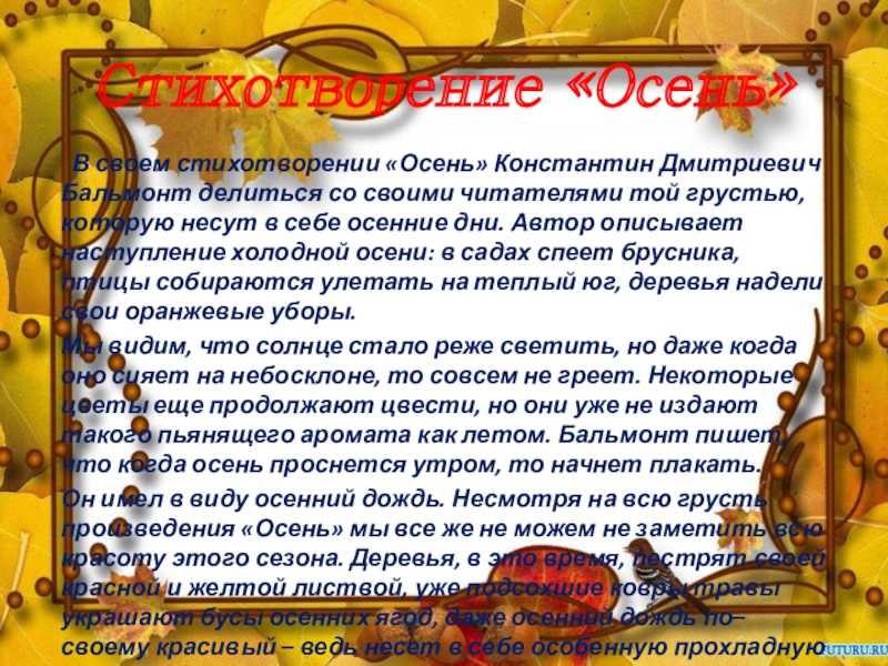 Мир нуждается в красоте В красоте стихов, в красоте осени Увидеть необычные краски осенней природы, штрихи красоты, учуять малейшие запахи, услышать звуки –