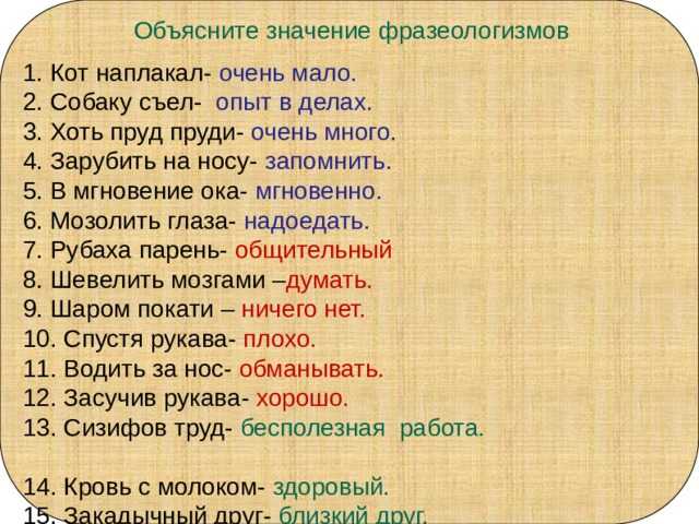 У александра шибаева про русский язык есть волшебные слова; скажешь слова-слышишь два. очень сыро сы - узнавалка.про