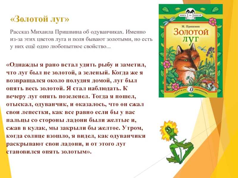 Пришвин м золотой луг рассказы: золотой луг — пришвин м.м. рассказ про двух братьев и одуванчики. — море позитива