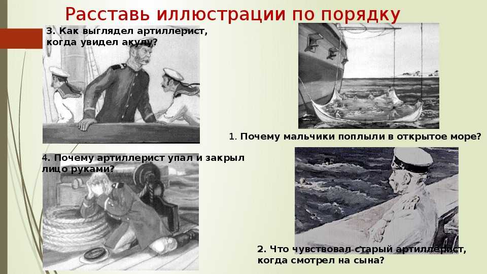 Смысл рассказа "акула" толстого | какой смысл