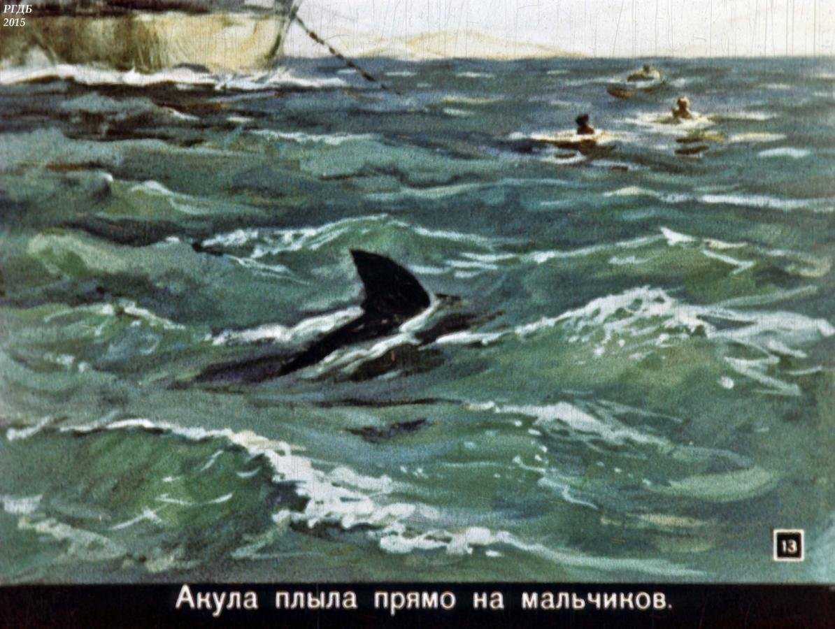 Толстой «акула» читать онлайн бесплатно