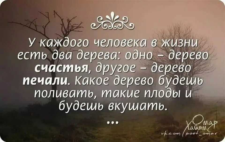 Детские мысли. дошкольники ответили, что такое счастье