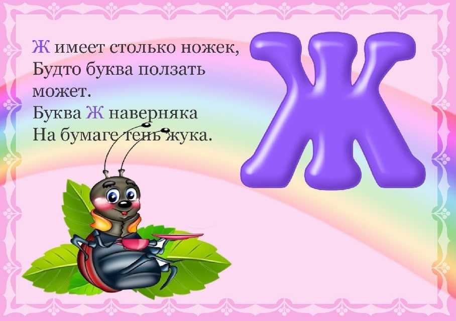 Грибы волнушки