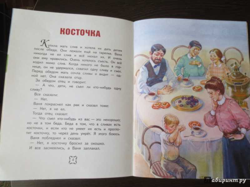 Содержание рассказа льва толстого «акула» для читательского дневника