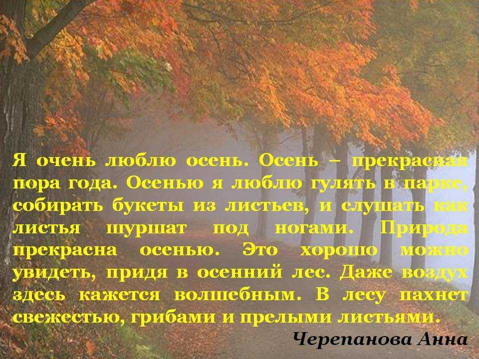 Конспекты занятий по развитию речи в старшей группе