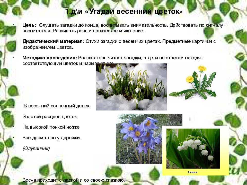 Загадки про цветы - подготовка к школе и развивающие задания для детей мама7я