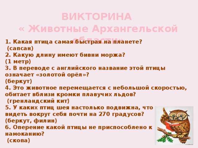 Викторина о животных с ответами для школьников