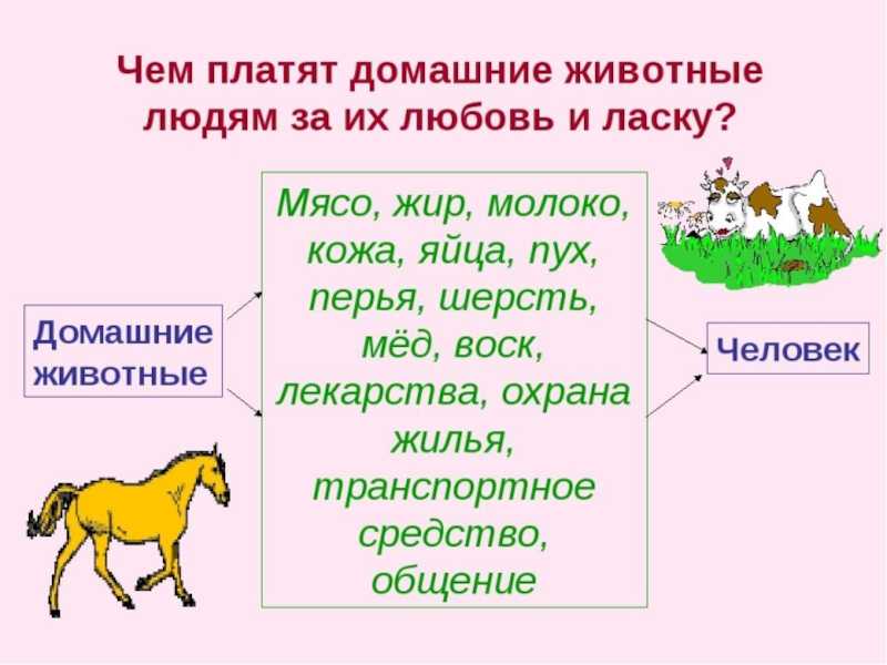 Архивы сказка про осень - сказачок
