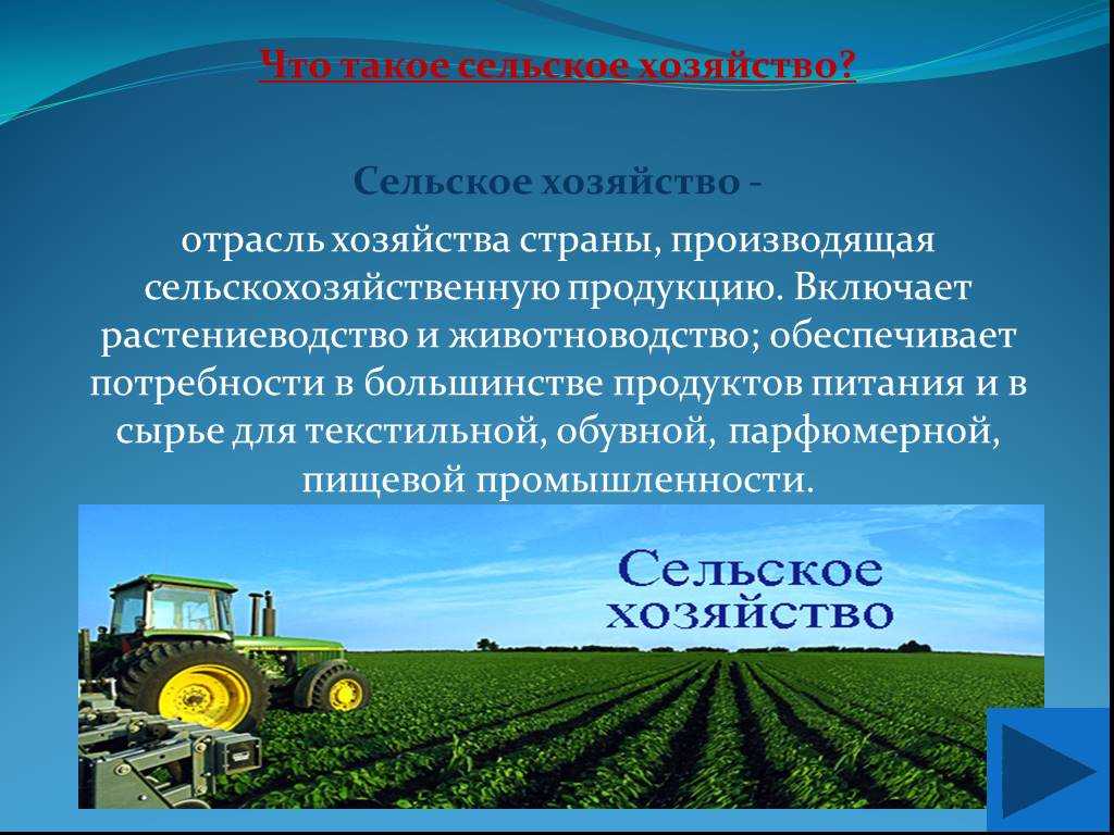 Сельское хозяйство в россии: отрасли, продукция и крупнейшие игроки