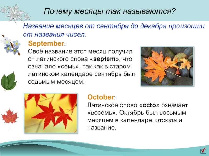Месяц сентябрь: русские народные праздники, традиции и приметы на каждый день.