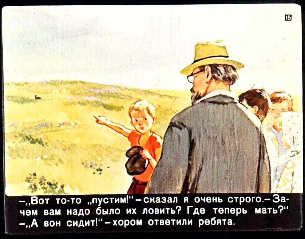 Читательский дневник по рассказу «ребята и утята» михаила пришвина