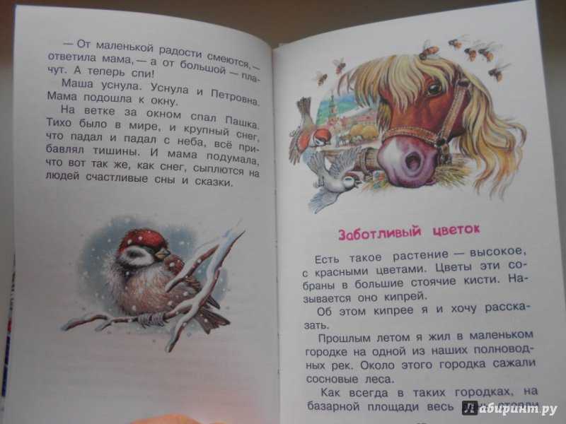 Резиновая лодка