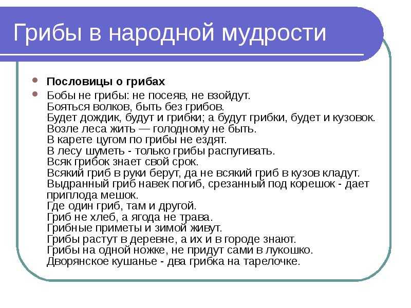 Пословицы и поговорки про грибы