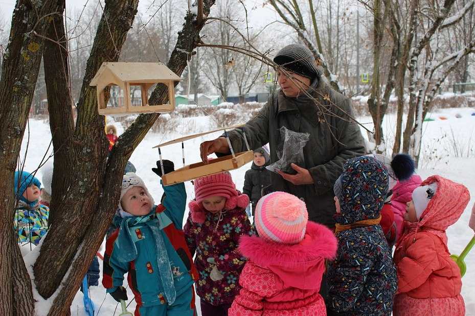 Сочинение на тему "птицы зимой"