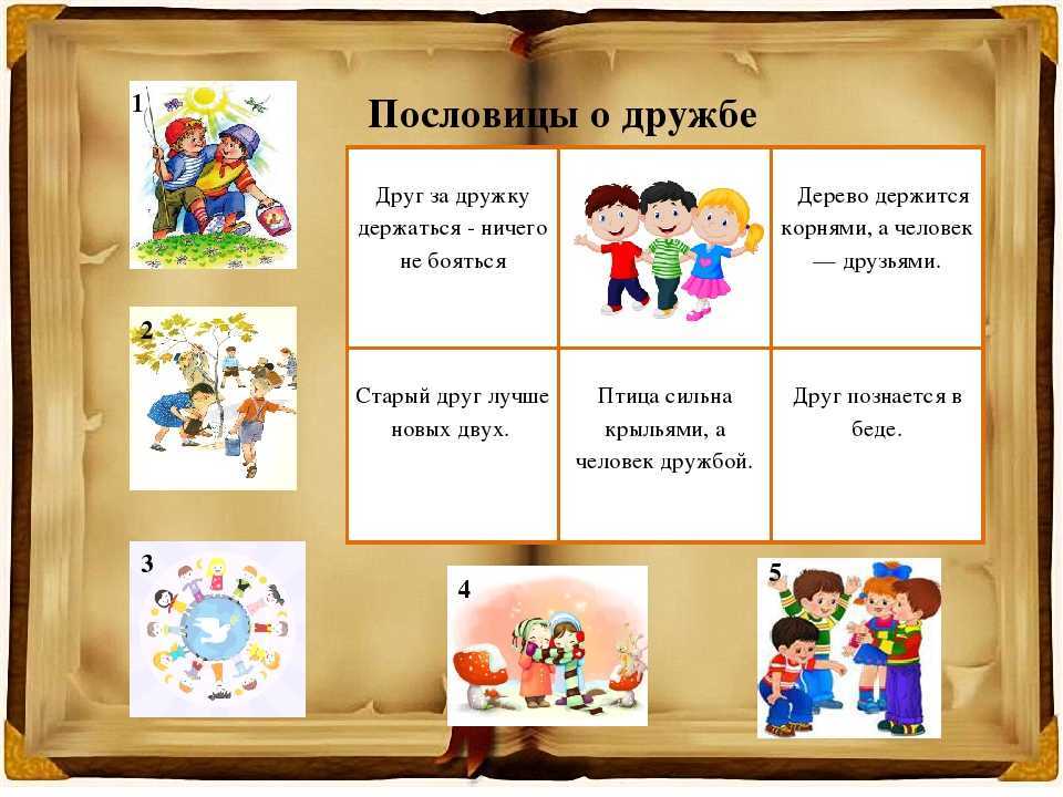 Всё о животных: пословицы и поговорки про ежиков
