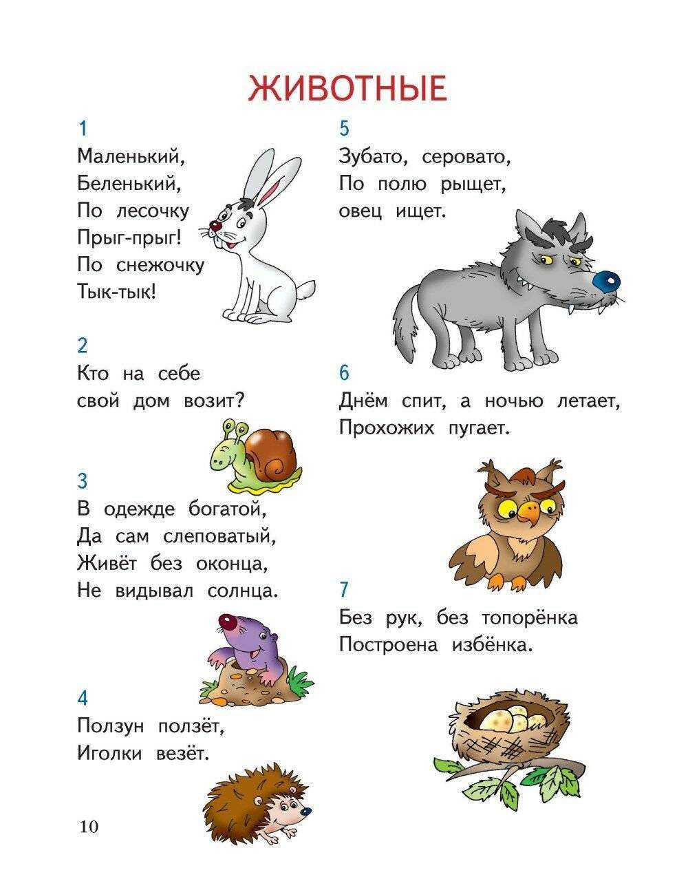 Число и цифра 6: презентации, раскраски, фото и картинки