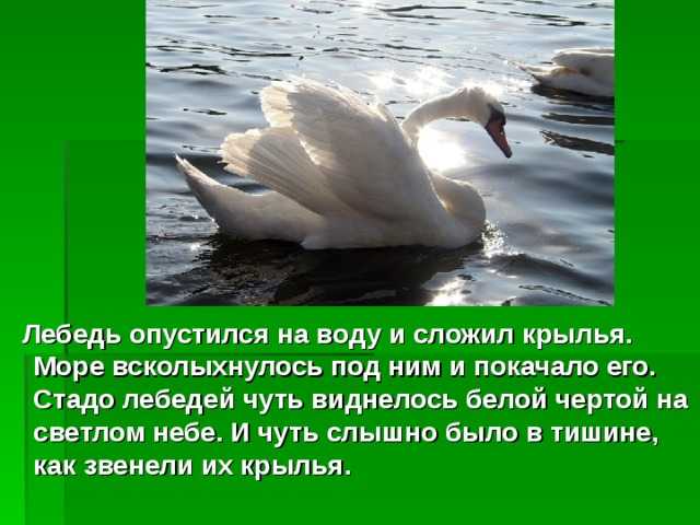 Произведения льва толстого для детей 2-3 класса читать