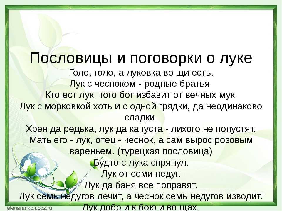 Кто кафтан с него снимает, часто слёзы проливает. загадки про лук для детей