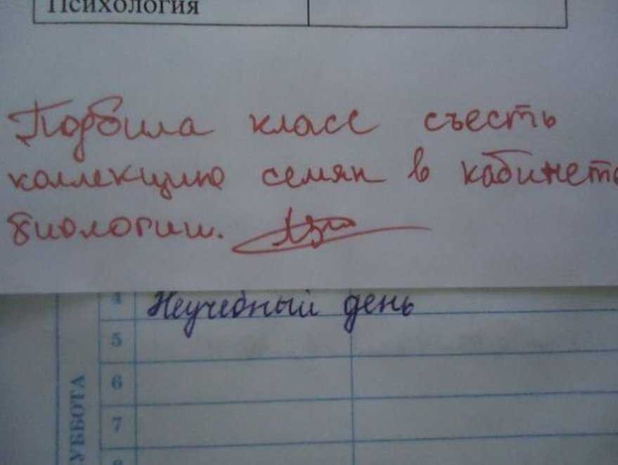 Трудная задача - рассказ николая носова - читать онлайн
