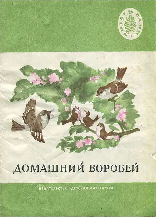 Птицы из семейства воробьиных