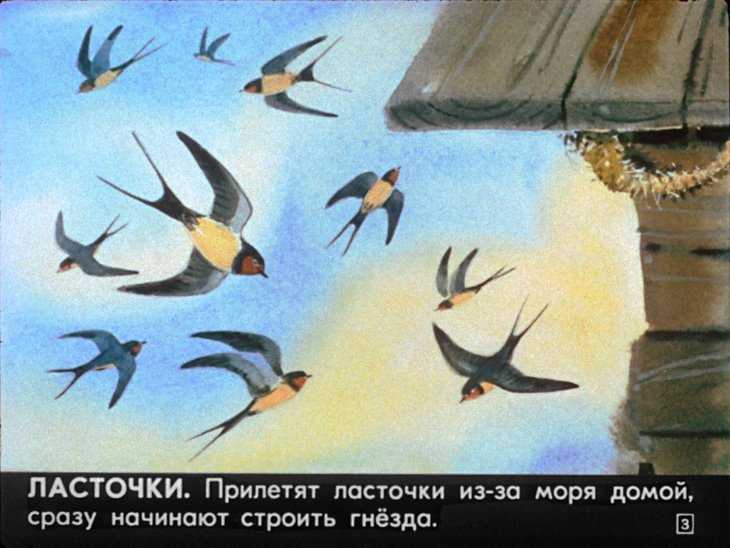 Г.я.снегирёв. маленькое чудовище. рассказы. читать онлайн с картинками или скачать pdf