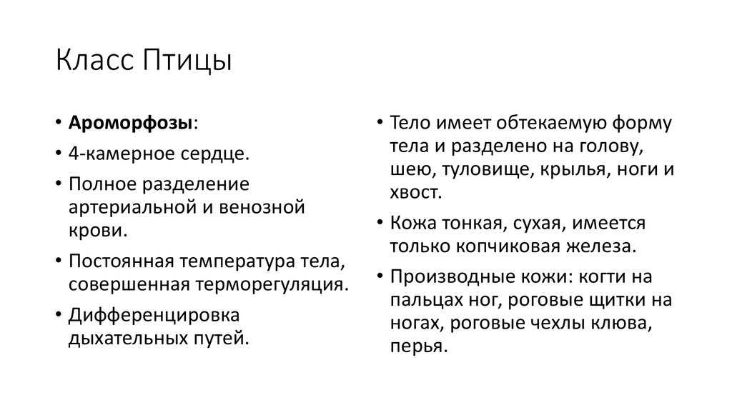 Размножение и развитие птиц кратко (биология, 7 класс)