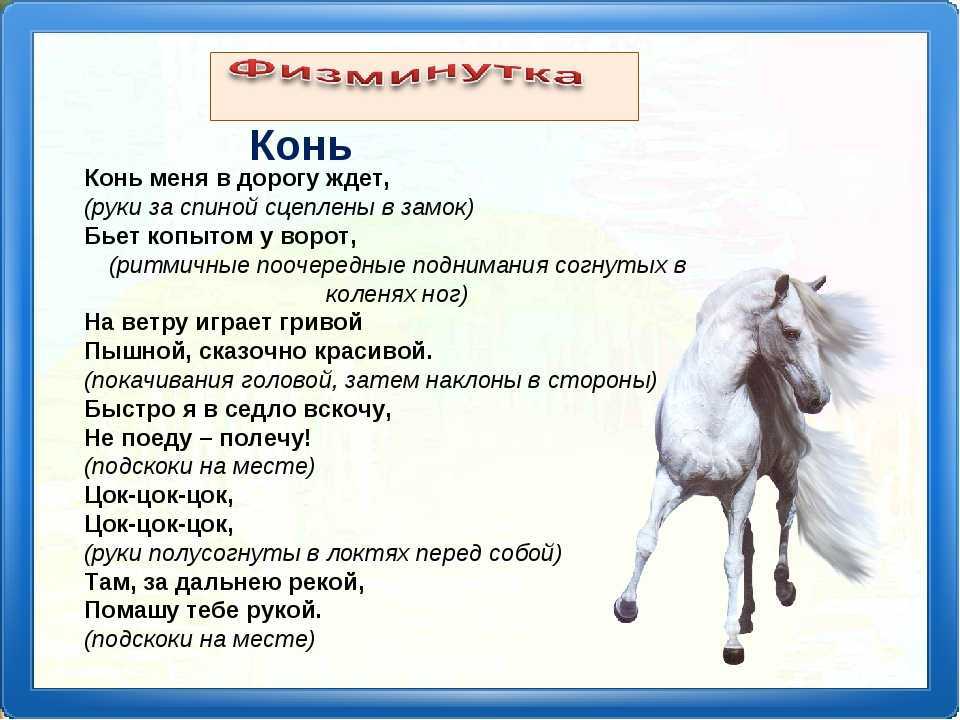 Причал      для        любознательных: 2014 - год  лошади