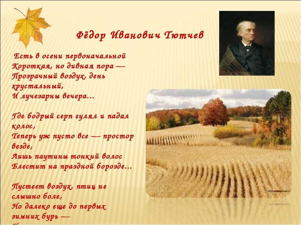 Стихи об осени: а. а. фет “осень”