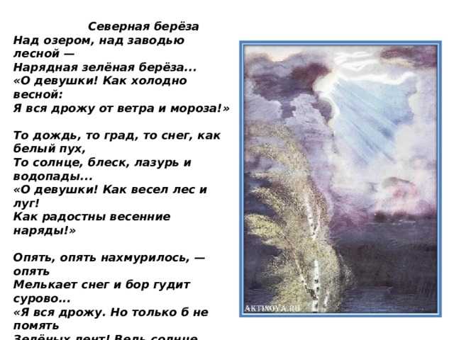 Сказки перед сном для самых маленьких