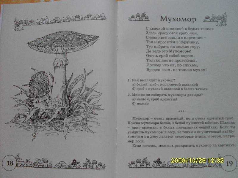 Рассказ о мухоморе 2 класс !