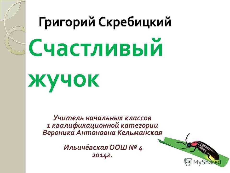 Древесные жучки: как избавиться от древесных жучков в доме, средство
