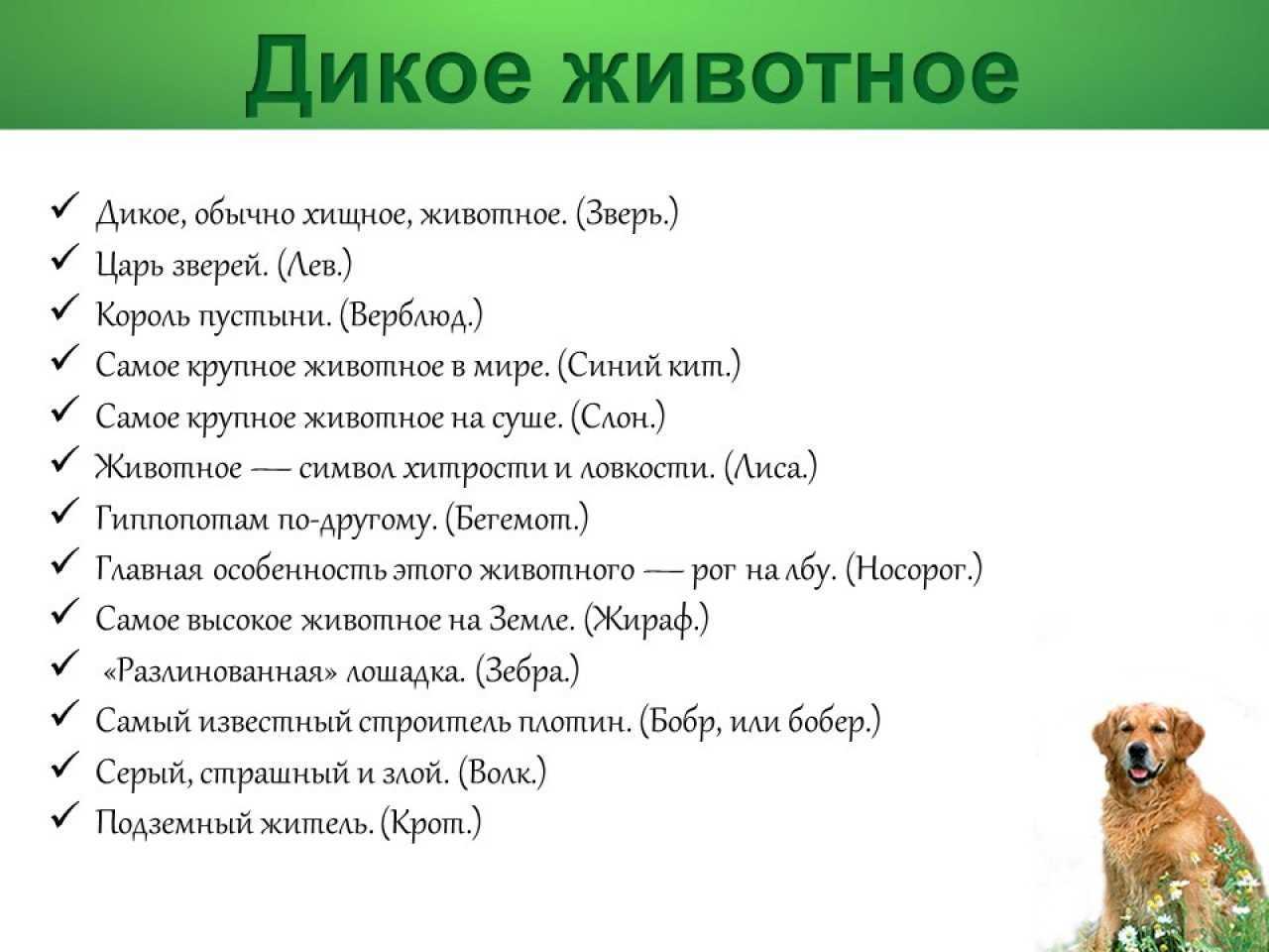 Викторина о природе для детей 7-10 лет с ответами