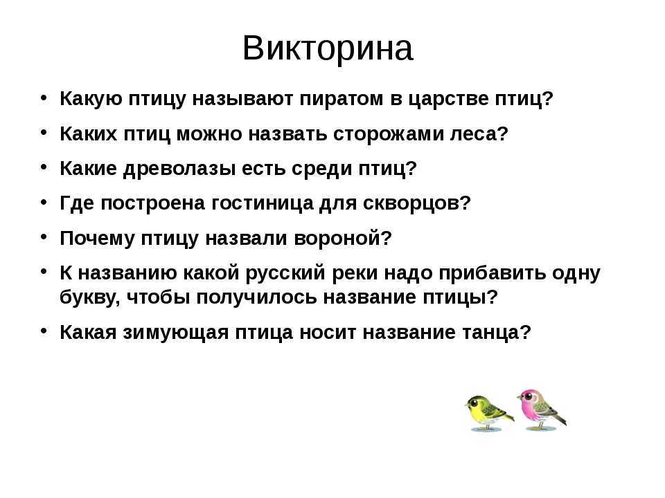 Птицы ответ на вопрос. Викторина про птиц. Викторина ко Дню птиц. Вопросы про птиц. Вопросы викторины про птиц детям.