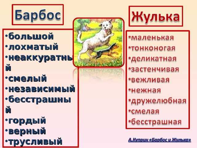 Сочинение анализ рассказа барбос и жулька куприна