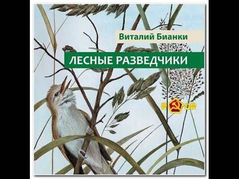 Лесные разведчики — рассказ виталия бианки